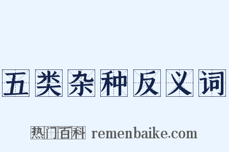 五类杂种反义词是什么意思的图片